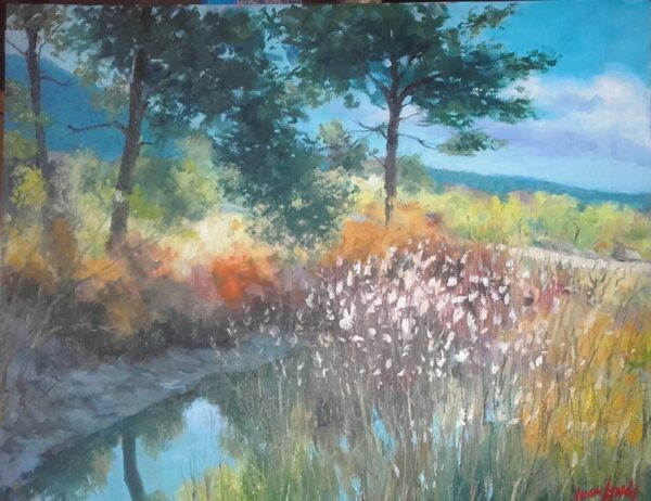 Primavera